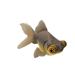 金鱼 3d模型缩略图