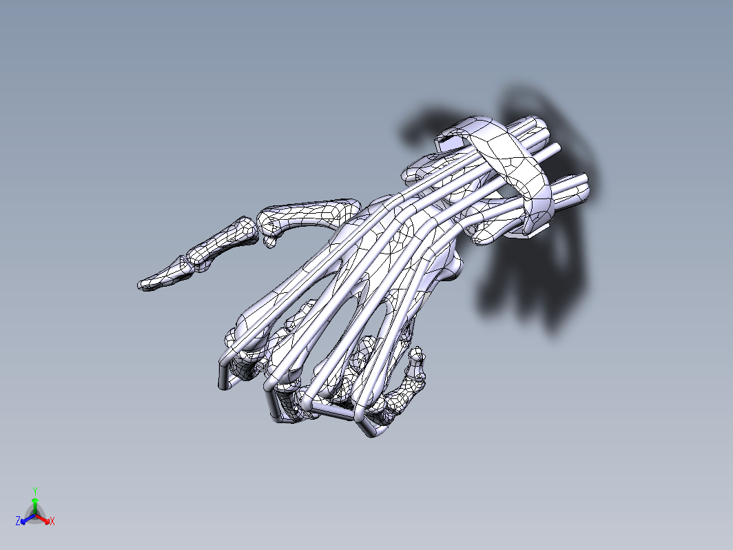 手骨骼模型 WRIST