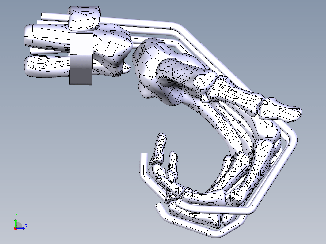 手骨骼模型 WRIST