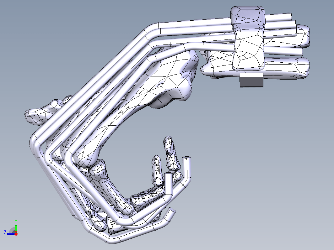 手骨骼模型 WRIST