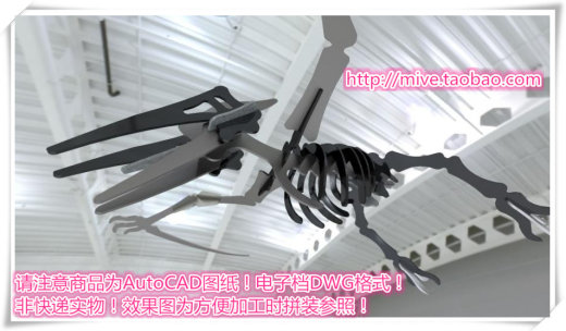 翼龙缩略图