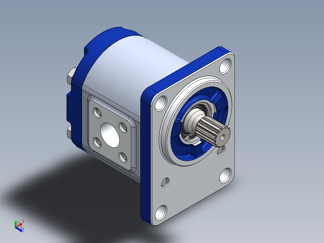 external-gear-pump外齿轮泵