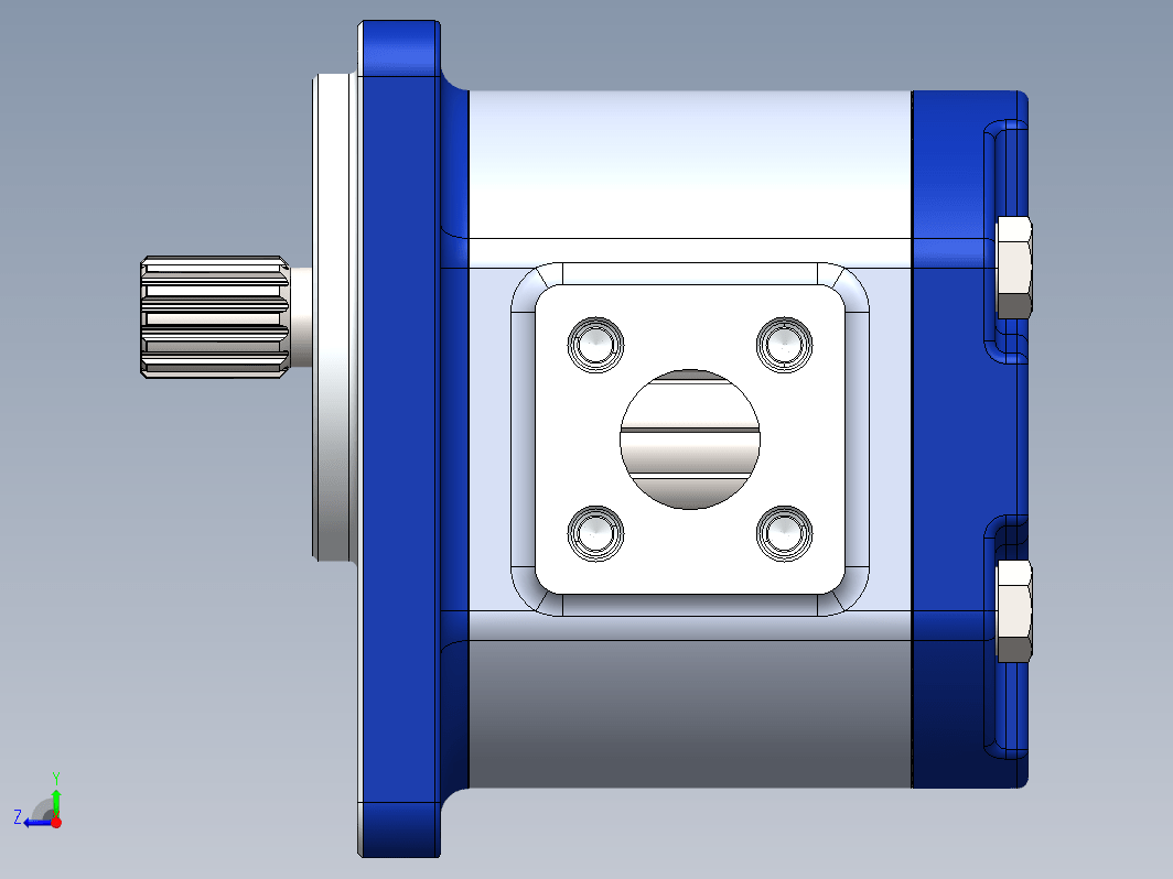 external-gear-pump外齿轮泵