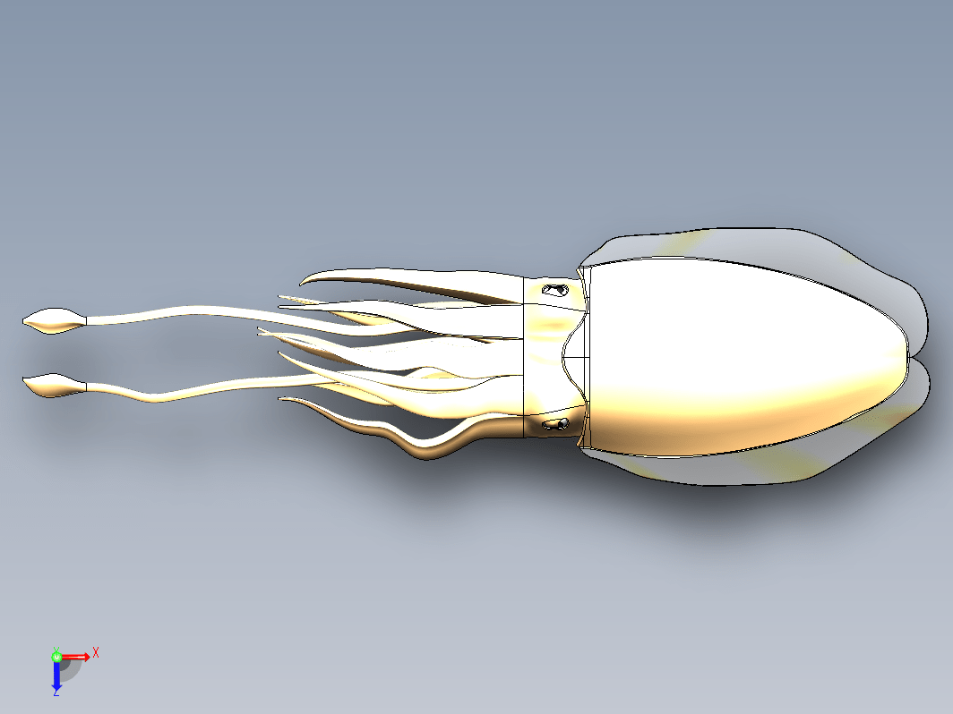 海洋生物之墨鱼