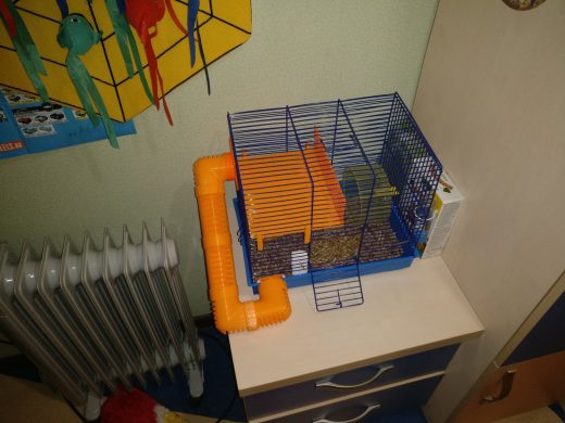 宠物仓鼠笼子缩略图