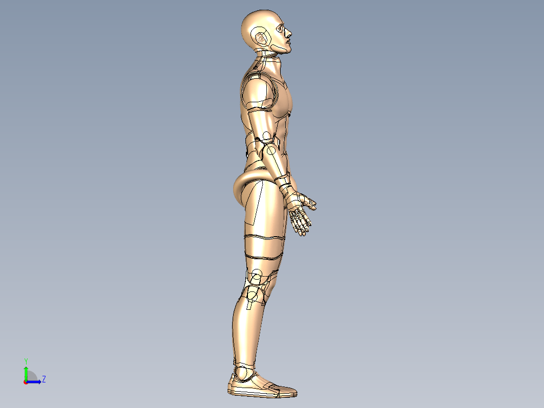 关节活动人物模型