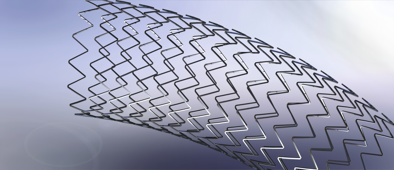 冠状动脉支架模型