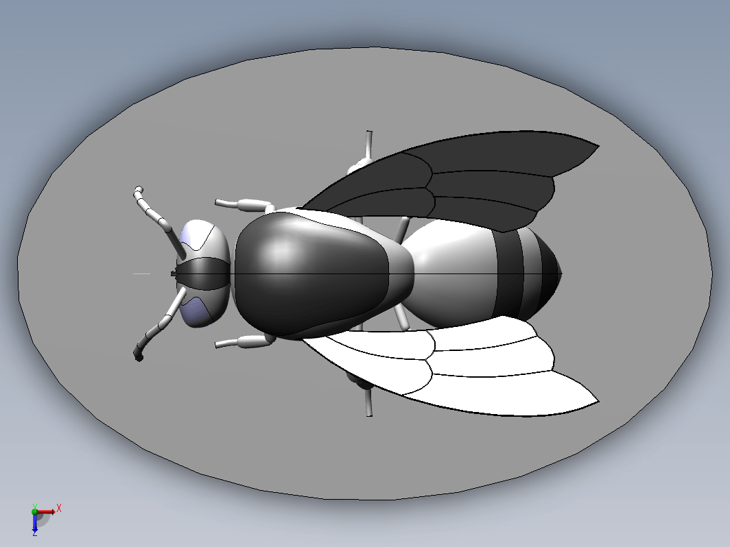 蜜蜂模型sw