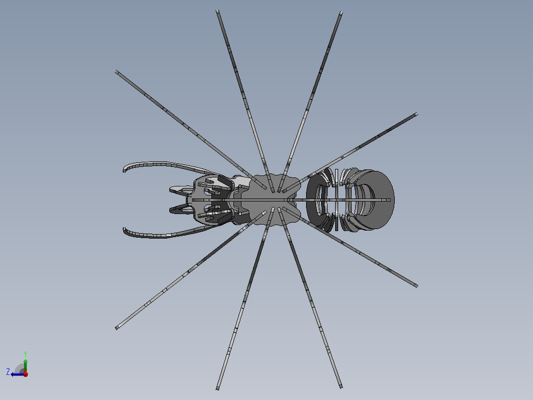 Tarantula蜘蛛立体拼装模型