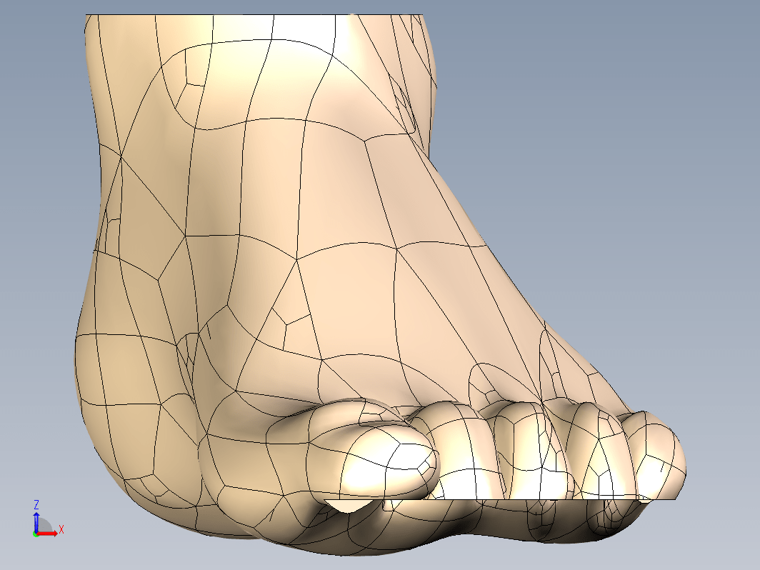 CT 扫描的人脚