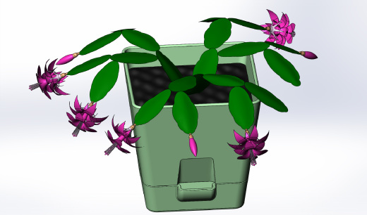 花盆里的花缩略图