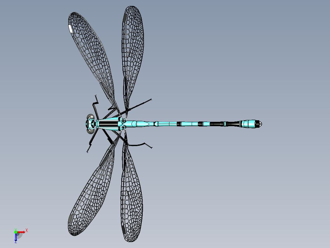 Damselfly蜻蜓蜻蛉