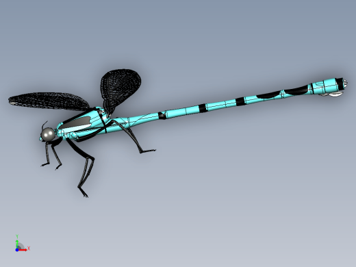 Damselfly蜻蜓蜻蛉缩略图