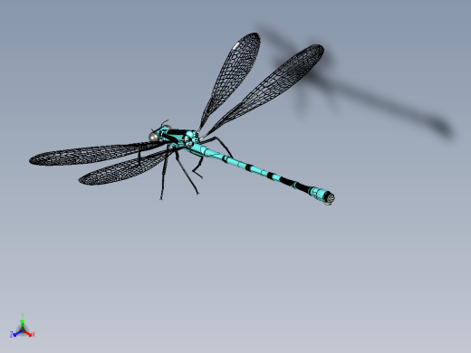 Damselfly蜻蜓蜻蛉缩略图