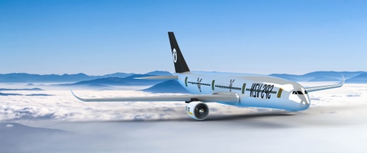 空客A350XWB宽体飞机缩略图