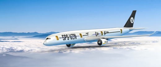 空客A350XWB宽体飞机缩略图