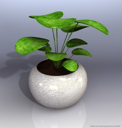 绿植缩略图