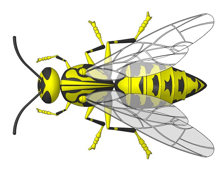 Wasp大黄蜂