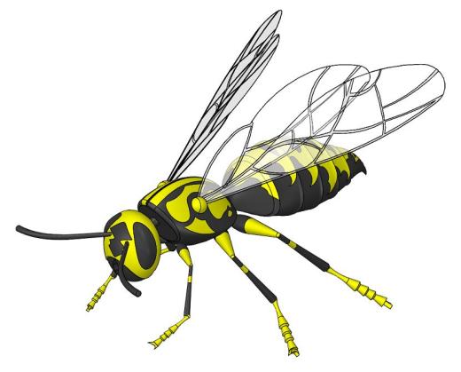 Wasp大黄蜂缩略图