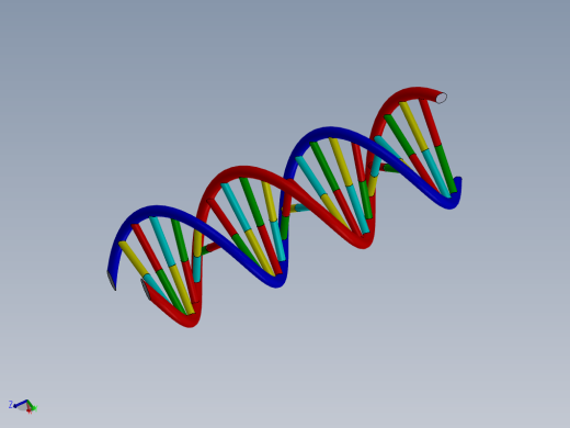 生物双螺旋DNA结构dna-model缩略图