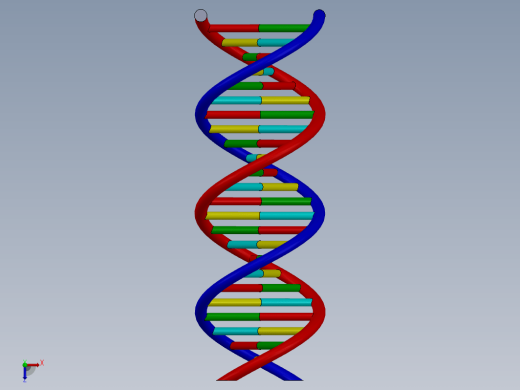 生物双螺旋DNA结构dna-model缩略图