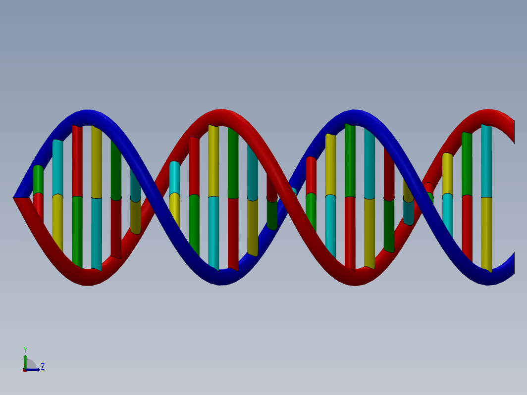 生物双螺旋DNA结构dna-model