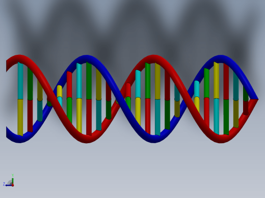 生物双螺旋DNA结构dna-model缩略图