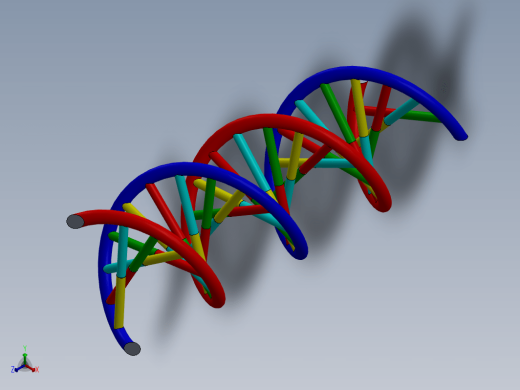 生物双螺旋DNA结构dna-model缩略图