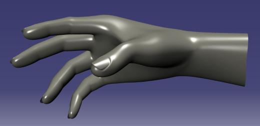 人的手模型缩略图