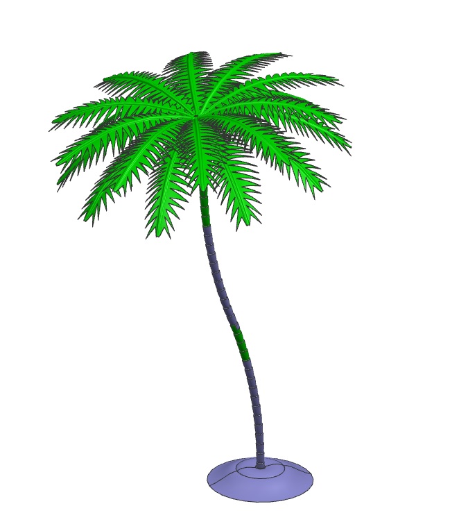植物palm tree棕榈树