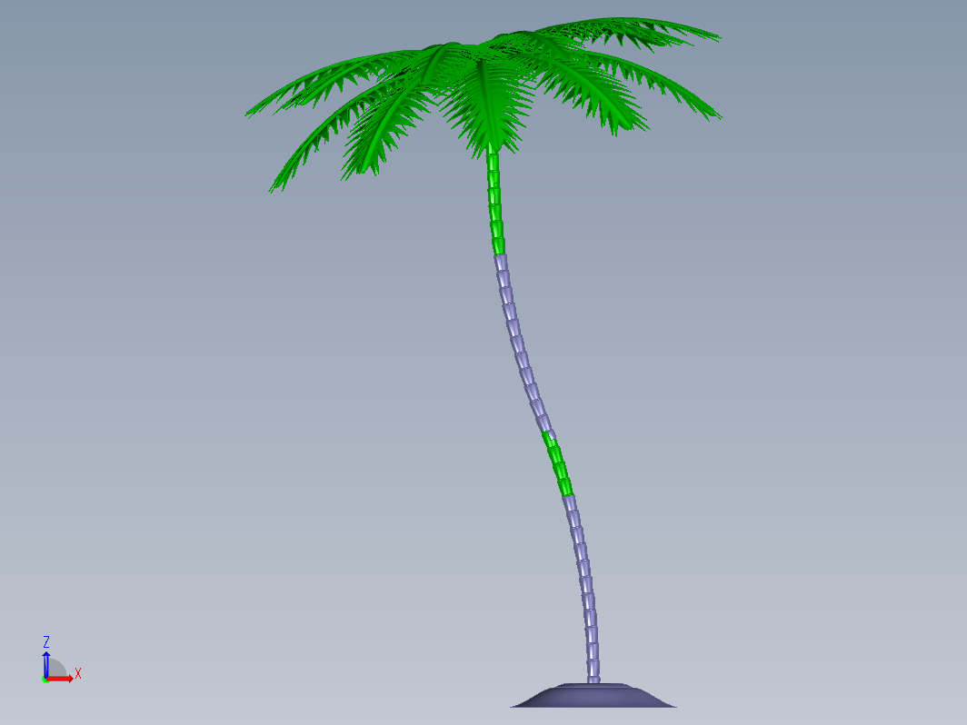 植物palm tree棕榈树