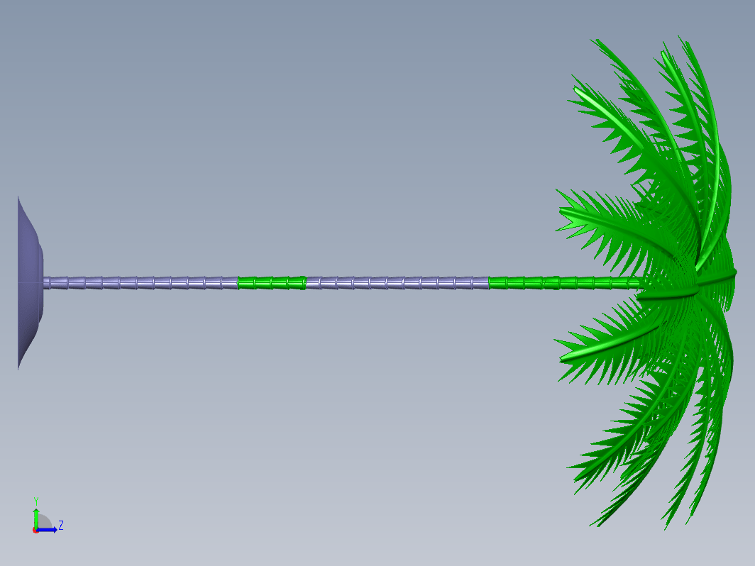 植物palm tree棕榈树