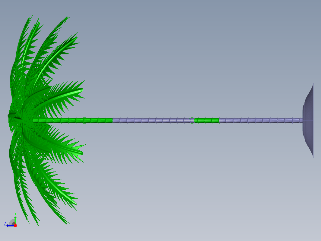 植物palm tree棕榈树