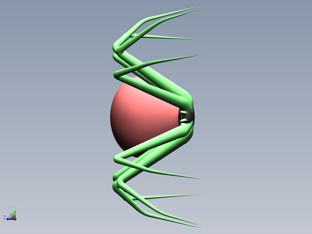 蜘蛛3D图模型