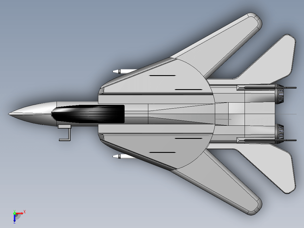 F-14雄猫战斗机