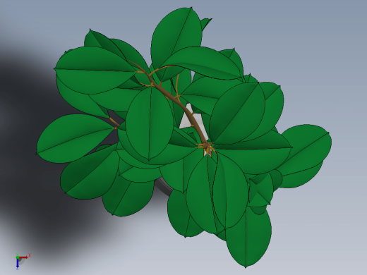 Plant盆栽植物缩略图