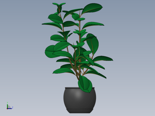 Plant盆栽植物缩略图