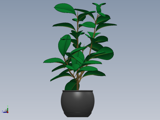 Plant盆栽植物缩略图