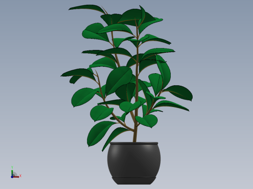 Plant盆栽植物缩略图
