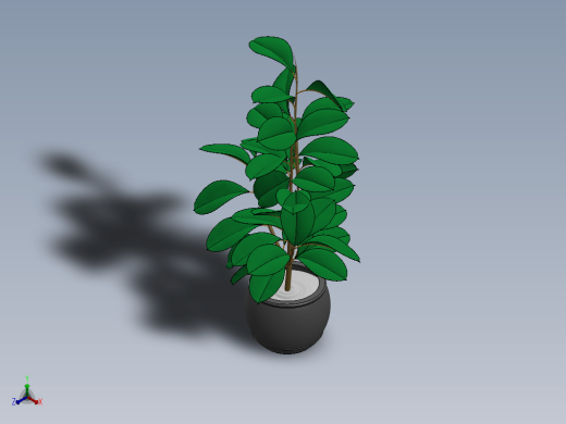 Plant盆栽植物缩略图