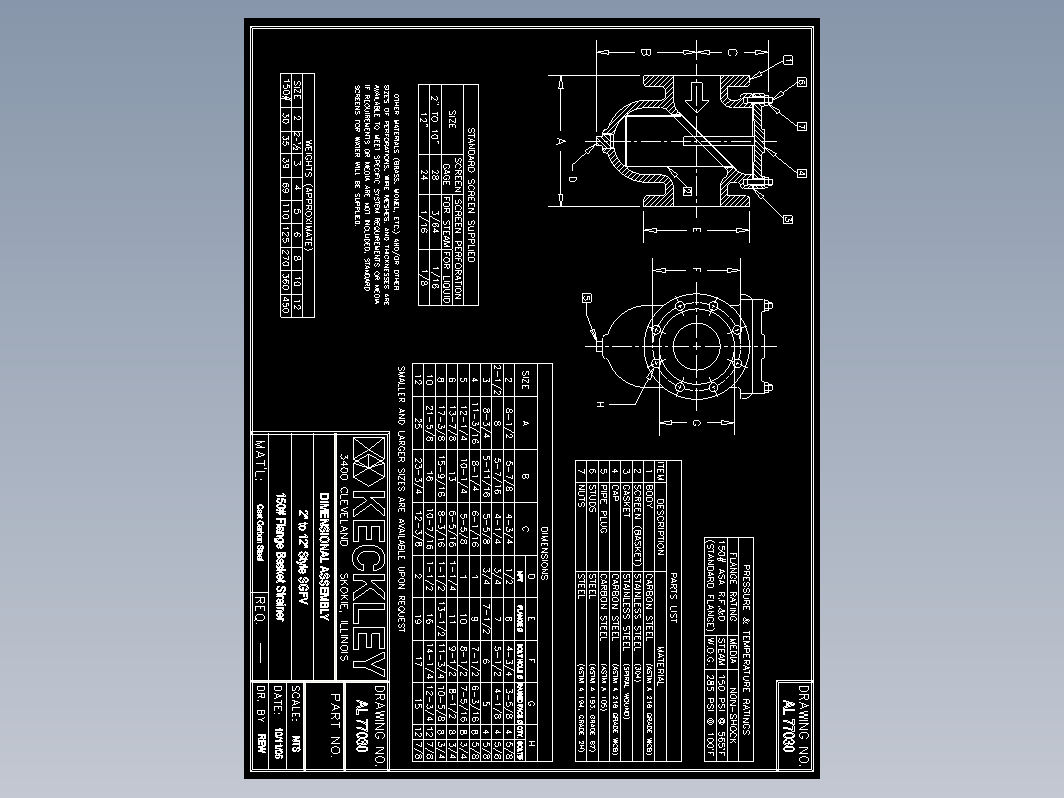 国外篮式过滤器小样图