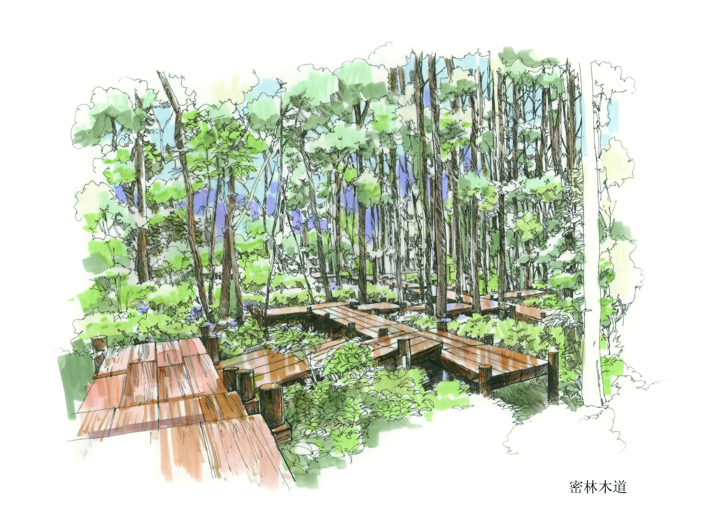永嘉县鹅脯公园详细规划设计