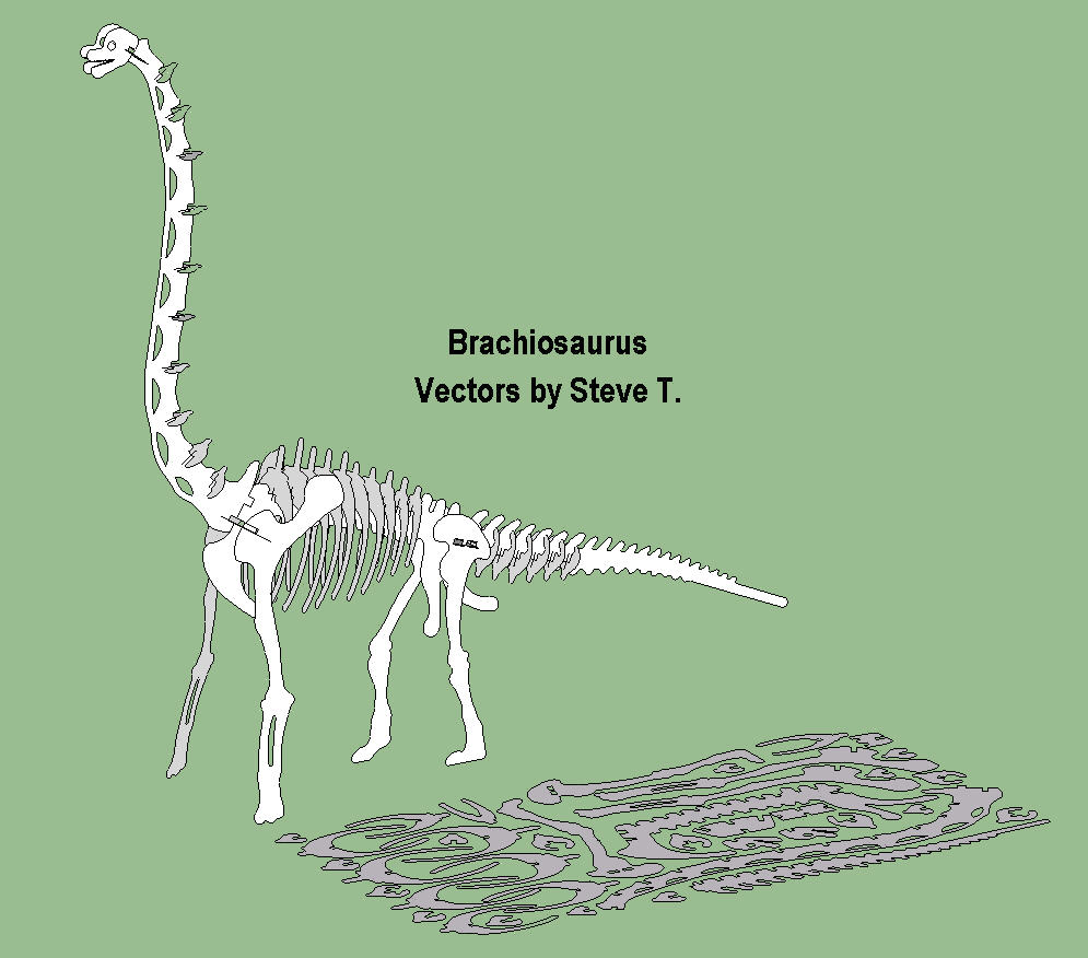 腕龙恐龙骨骼拼装立体模型