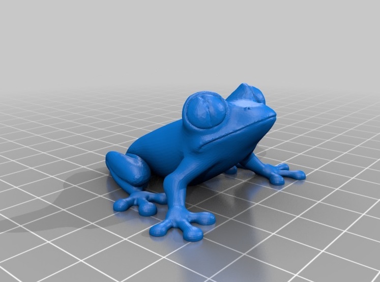 treefrog树蛙模型