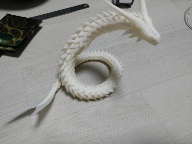 海蛇模型