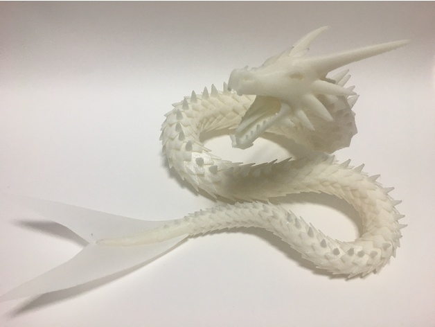 海蛇模型
