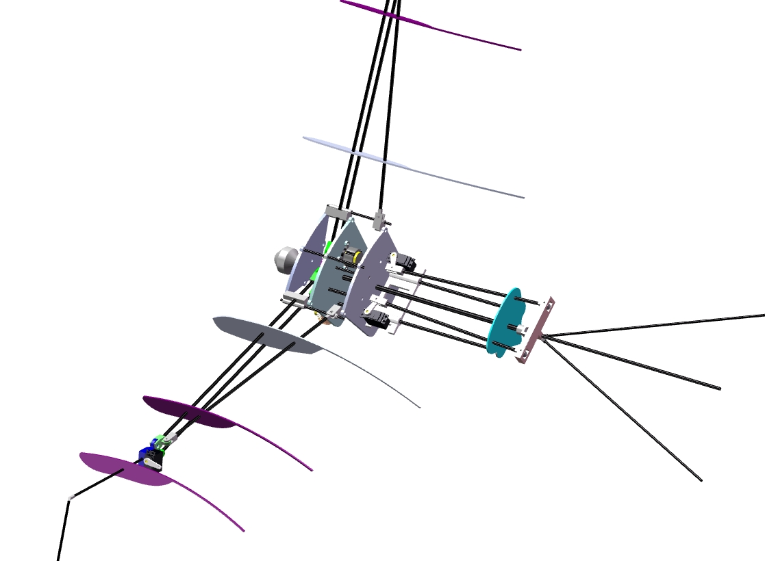 D 仿生分布式驱动扑翼设计-源文件三维SW2018无参++CAD+说明书