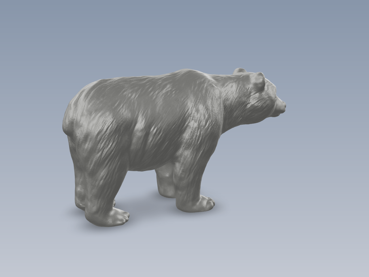 熊模型