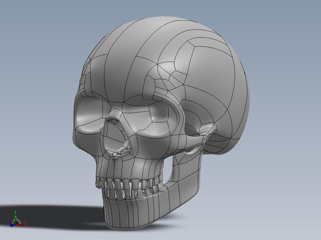 骨骼人头脑袋模型