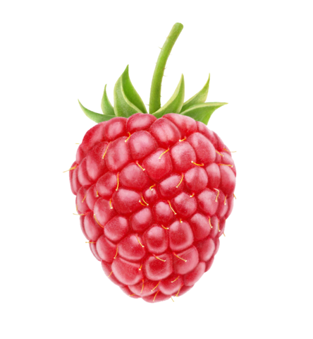 Raspberry树莓派麦克纳姆轮机械手小车